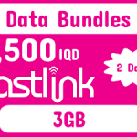 شحن رصيد فاست لينك 2 يوم