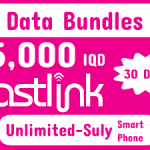 شحن رصيد فاست لينك 15 الف شهري – سليمانية