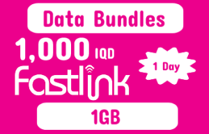 Fastlink 1 day