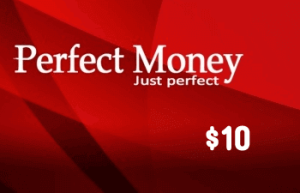 شحن رصيد بيرفكت موني 10$ - Perfect Money