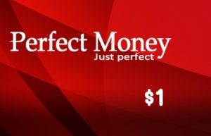 شحن رصيد بيرفكت موني 1$ - Perfect Money